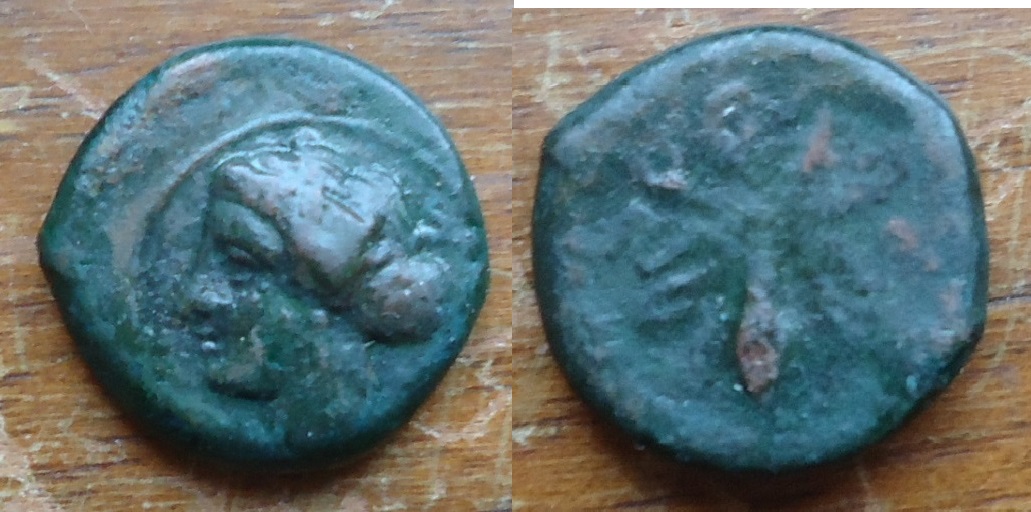 Syracuse - 5th C. Octopus Dec. 2017 (2).JPG