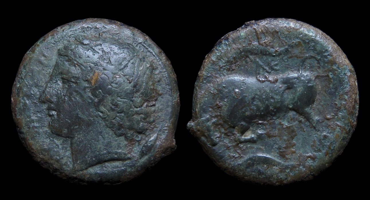 Syracuse - Agathokles AE23 Bull Butting 2544.jpg