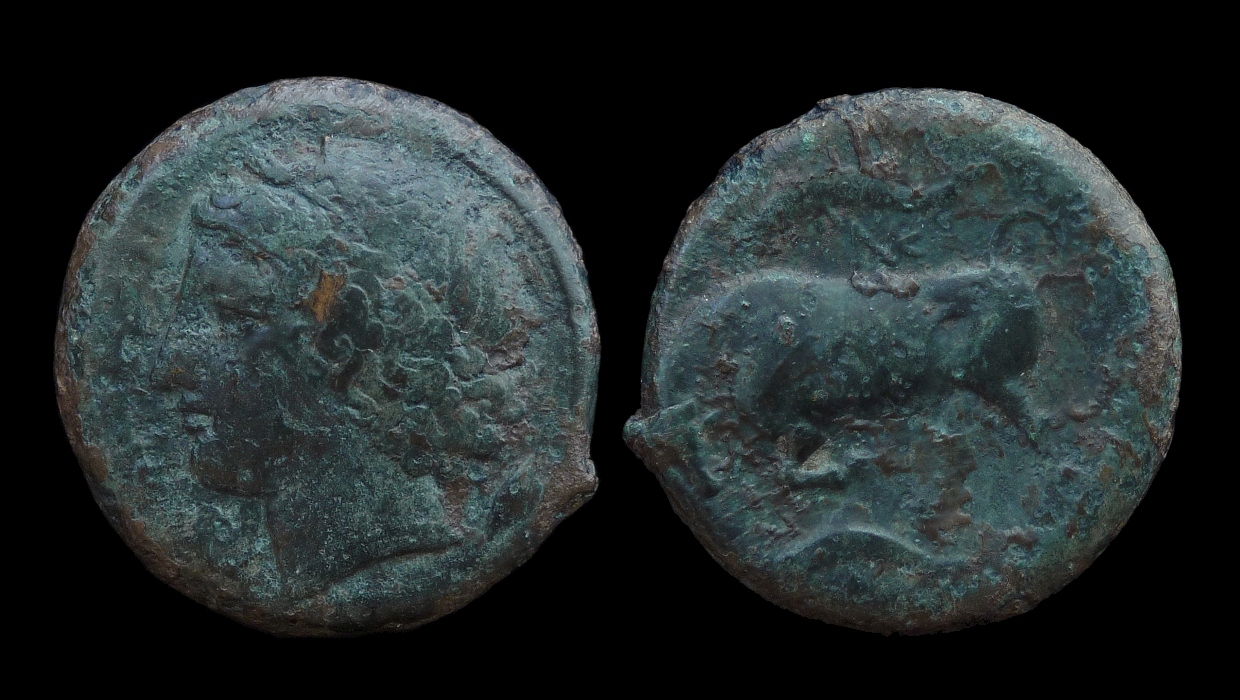 Syracuse - Agathokles AE23 bullbutting.jpg