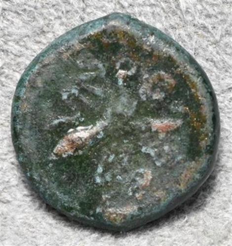 Syracuse - Arethusa & Octopus eBay seller photo 2.jpg