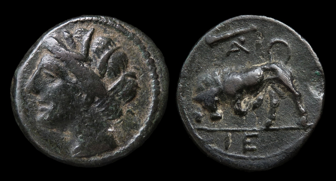 Syracuse - Hieron II AE18 Bull Butting ex Virzi 1588.jpg