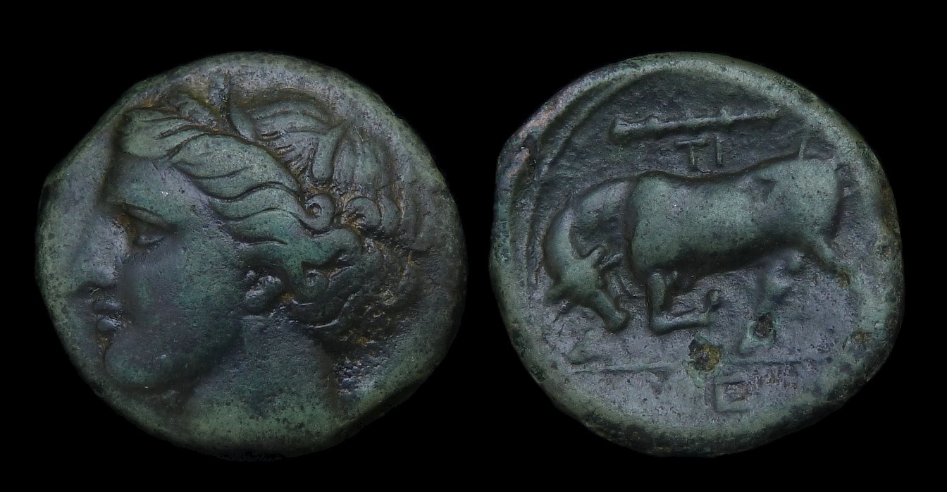Syracuse - Hieron II AE19 Bull butting Ex Meisner 3044.jpg
