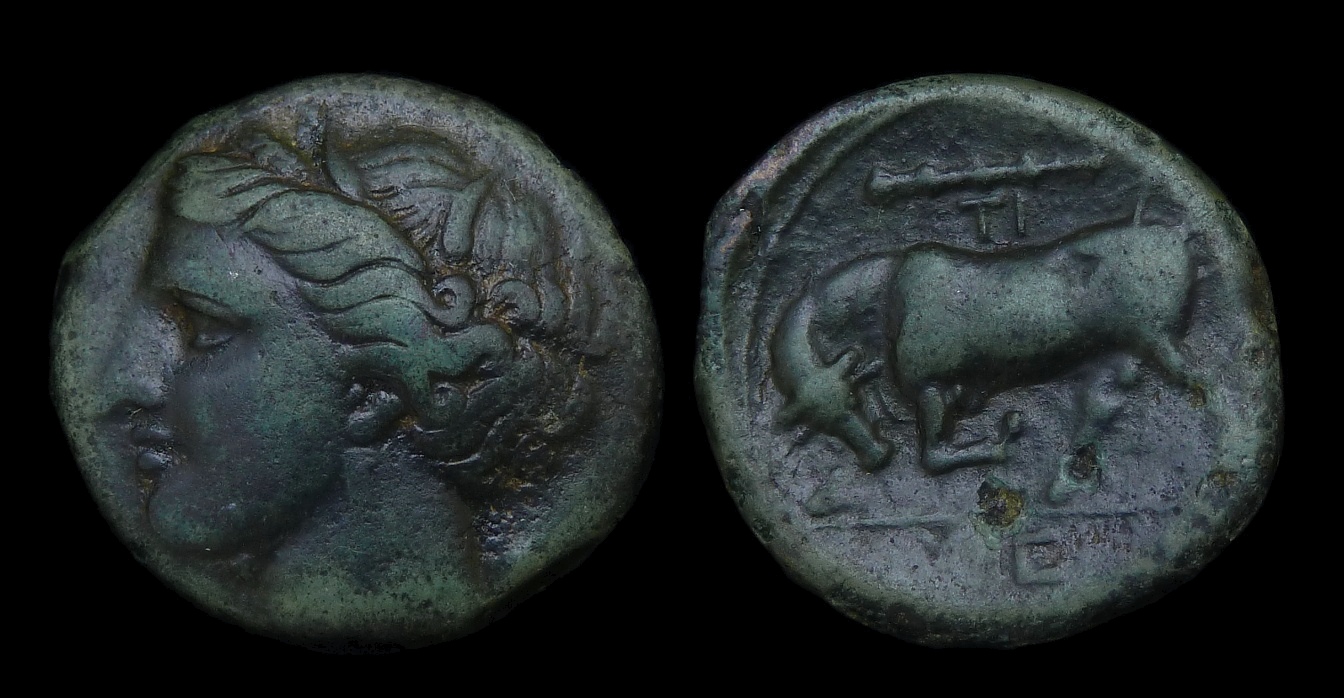 Syracuse - Hieron II AE19 Bull butting Ex Meisner 3044.jpg