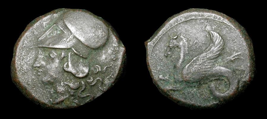 syracuse hippocamp.jpg