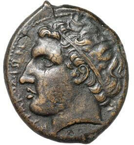 syracuse lion a.jpg