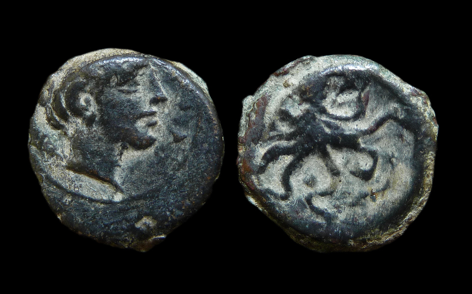 Syracuse Onkia - Octopus 1585.jpg