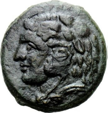 syracuse pyrrhus a.jpg