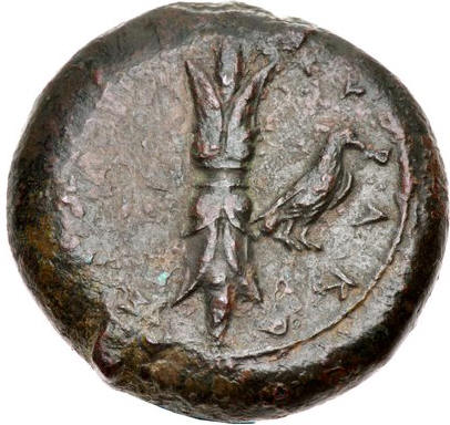 syracuse Timoleon b.jpg
