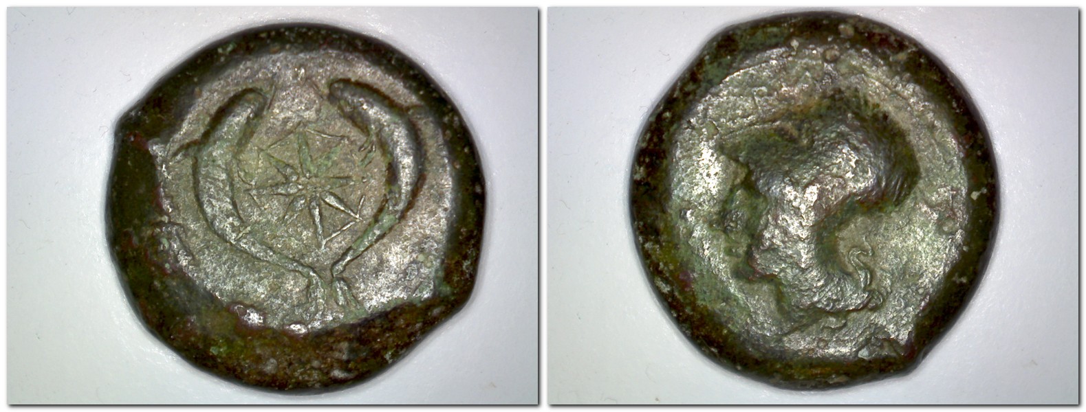 Syracuse Timoleon- Dolphins -Athena.jpg