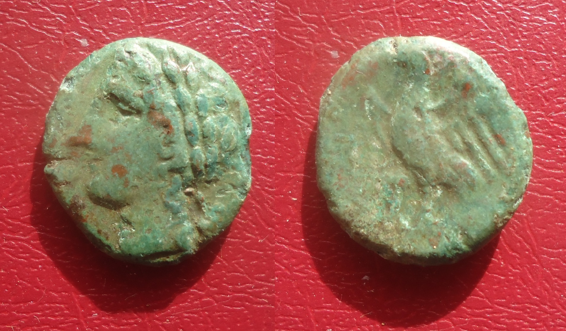 Syracuse - Zeus Eagle AE Oct 2020 (0).jpg