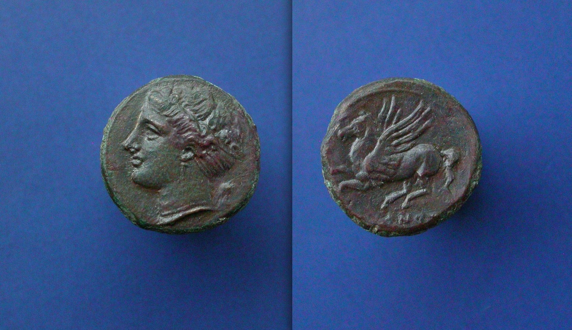 syracuseae8.jpeg