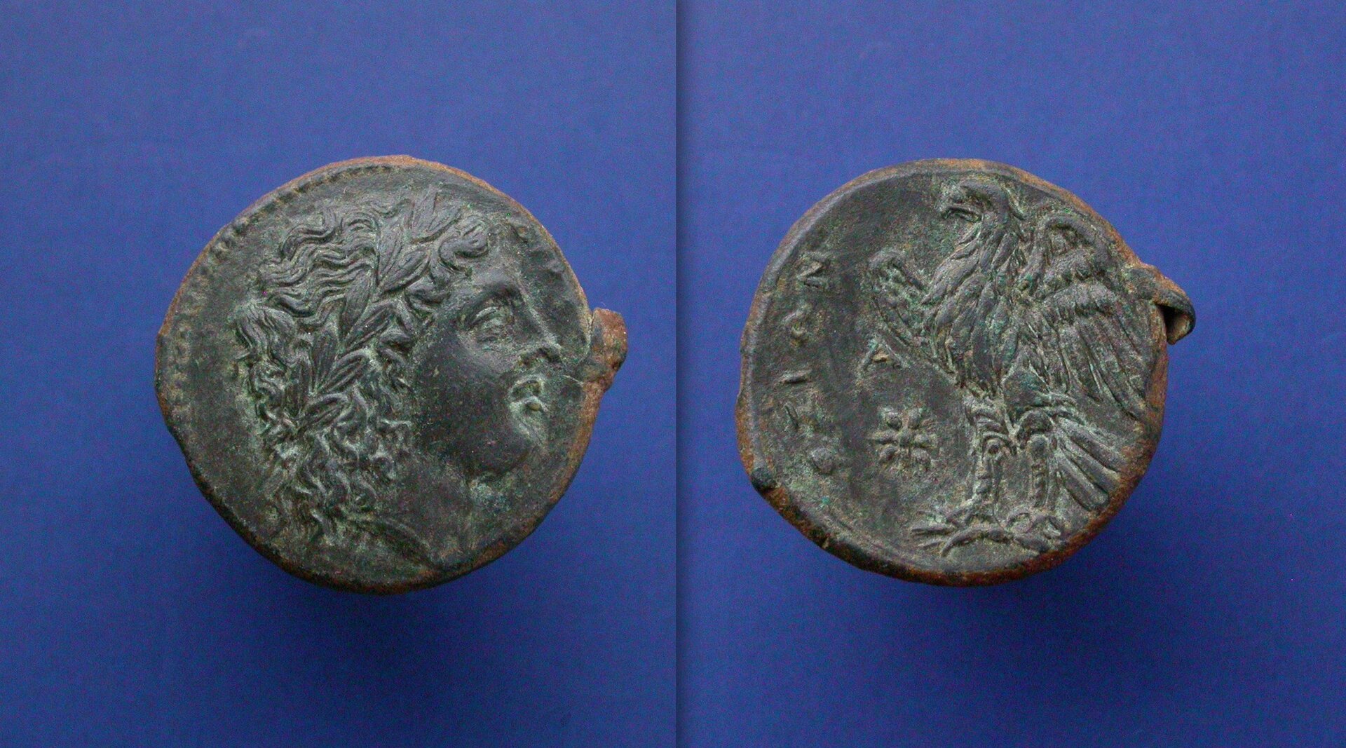 syracuseae9.jpeg