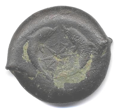 SyracuseDolphin1.jpg