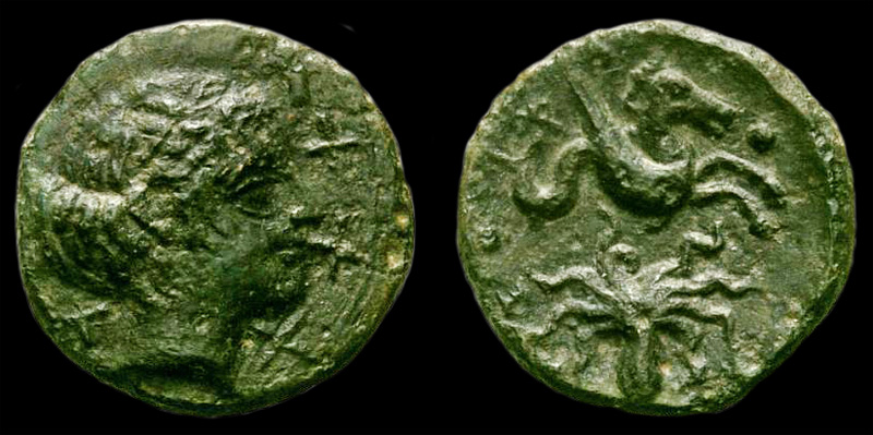 SyracuseHippocampusOctopusSellerPic.jpg