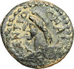 Syria Antioch AE 13 1 to 2nd cent AD A Ast 9.12.15 obv.jpg