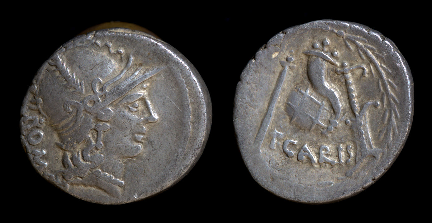 T Carisius Cornucopia.jpg