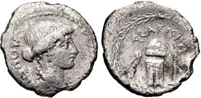 T Carisius.jpg