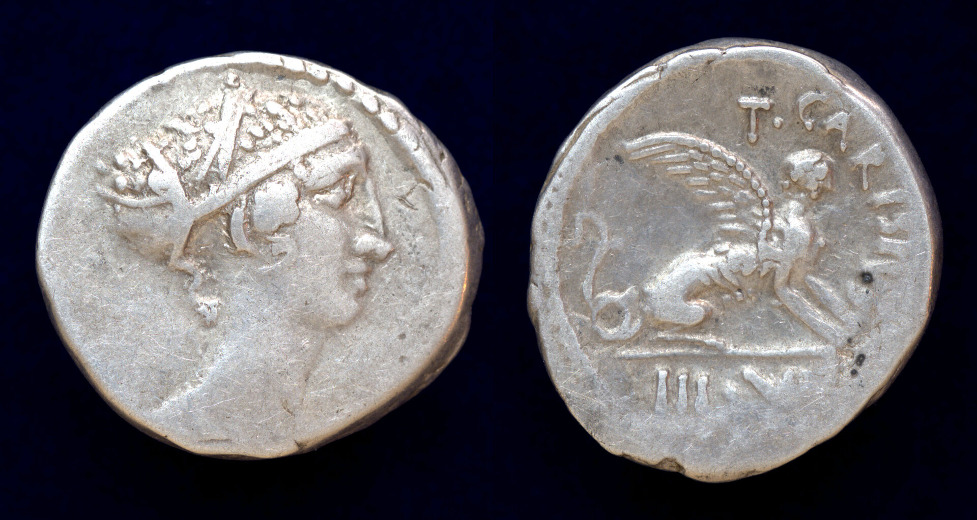 T Carisius Sphinx.jpg