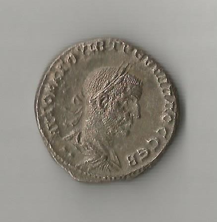 T. Gallus O         Prieur 659.jpg