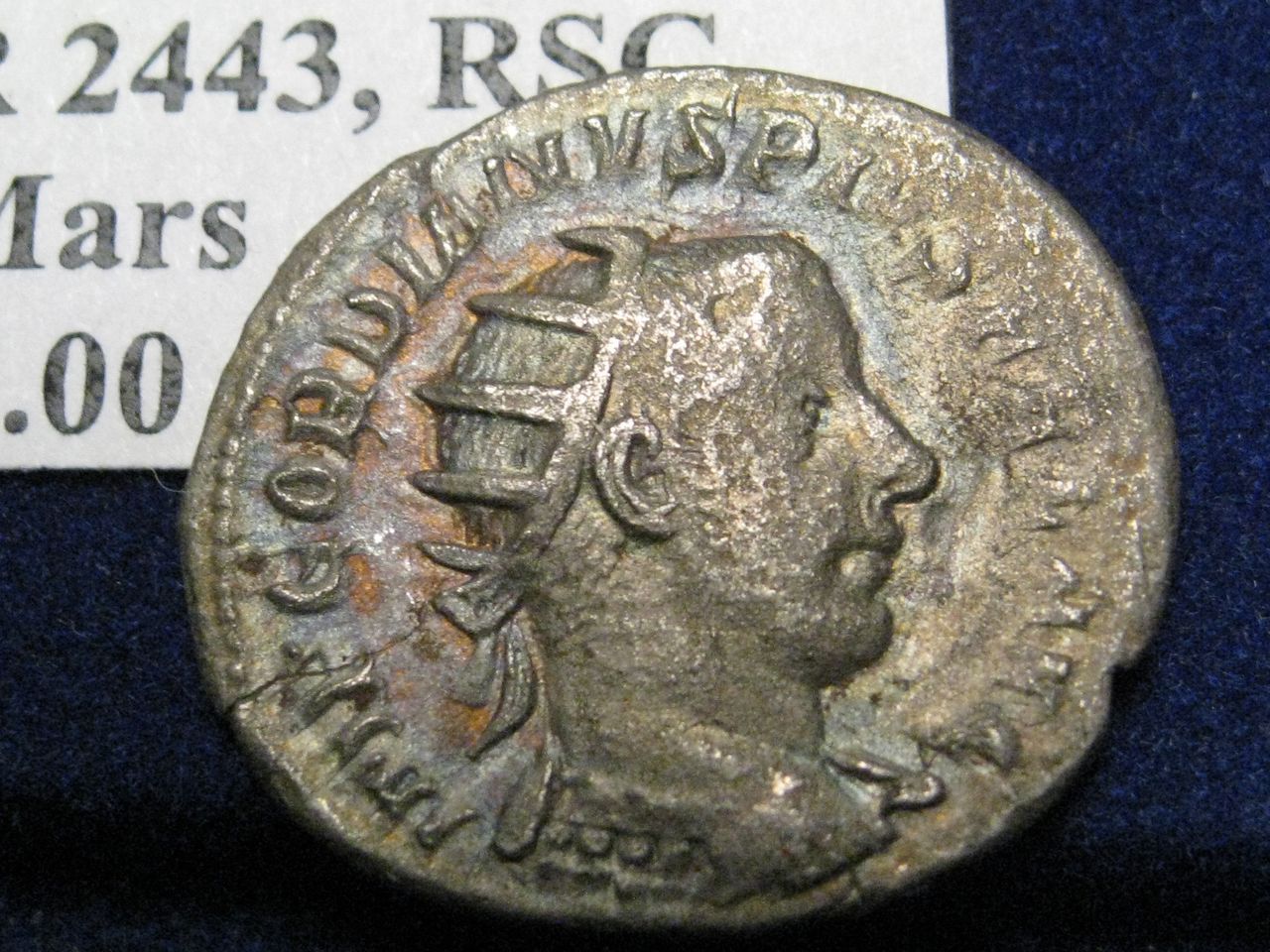 $T2eC16NHJHgFFl)hgTs0BR22uf4R1Q--60_57.JPG