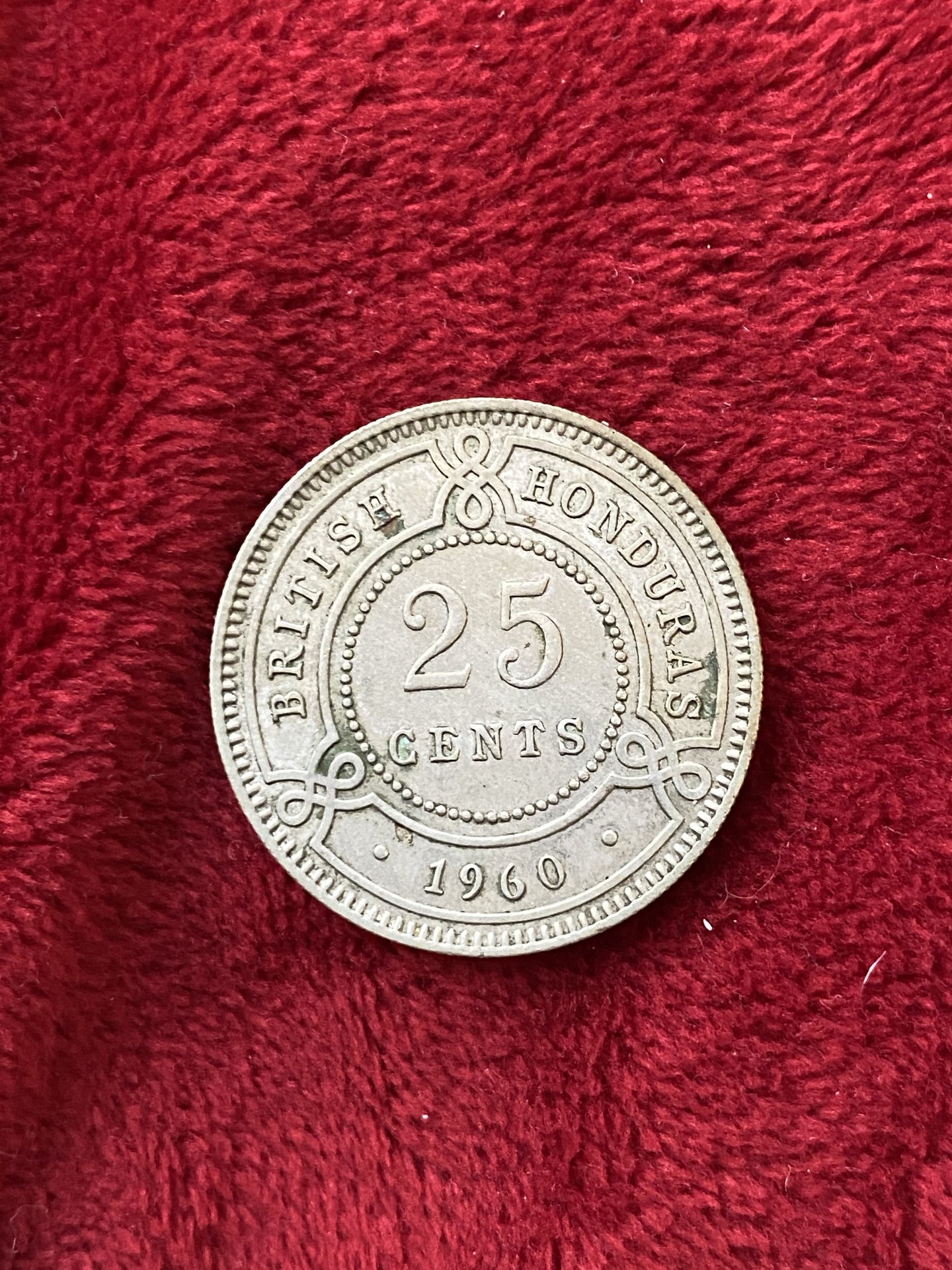 T2SBicqDSvOJopy39Np49g.jpg