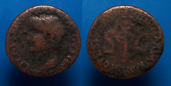 t3070.JPG