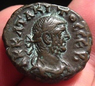 Tacitus Alexandria TET a.jpg