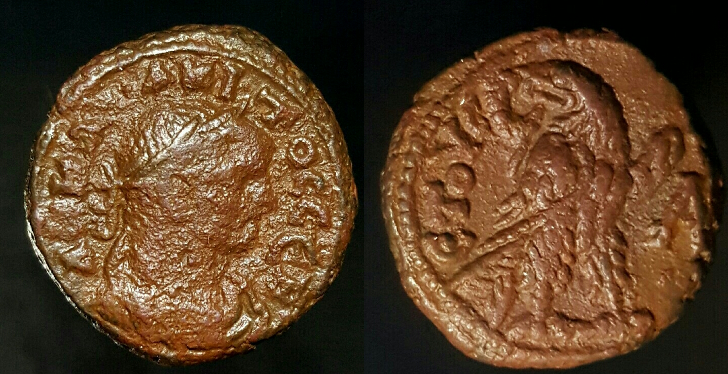 Tacitus-Eagle-Alexandria[Emmett3973.1].jpg