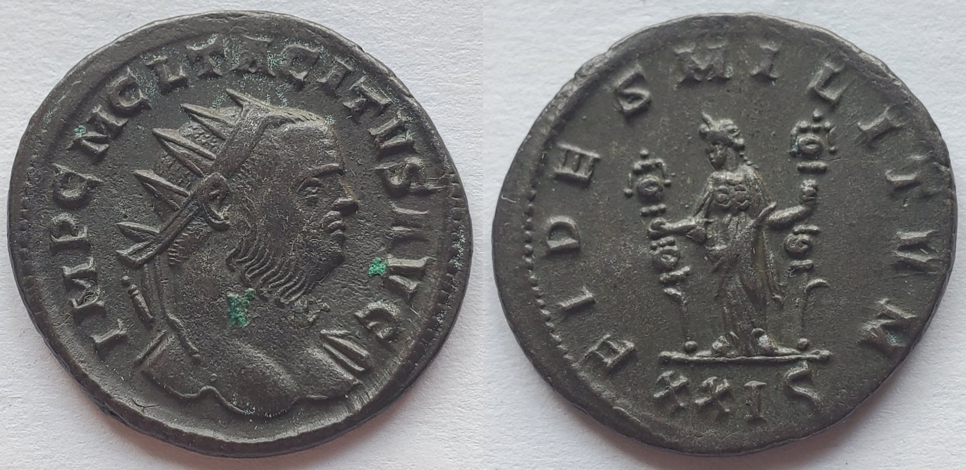 Tacitus fides militvm.jpg