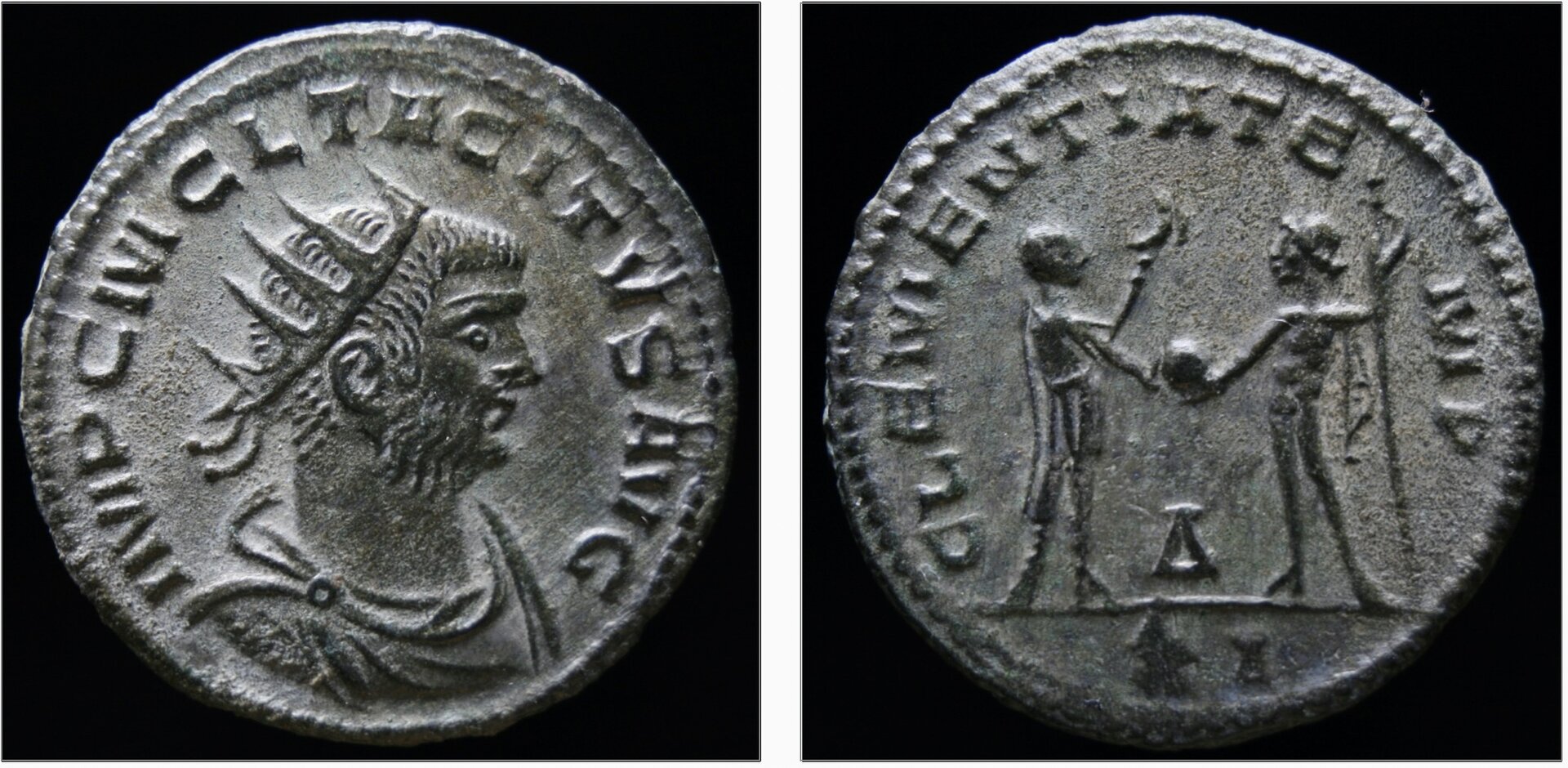 tacitus.jpg