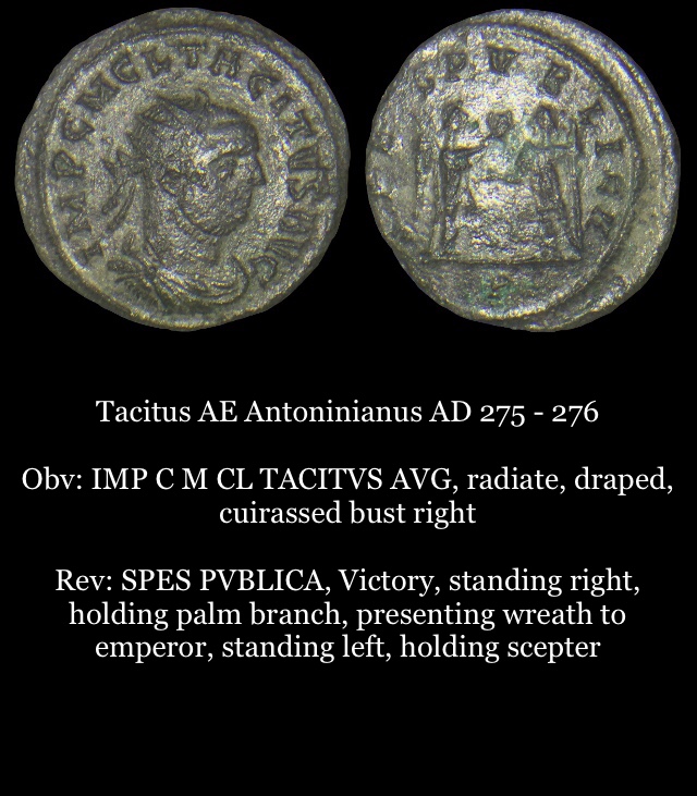 Tacitus.JPG