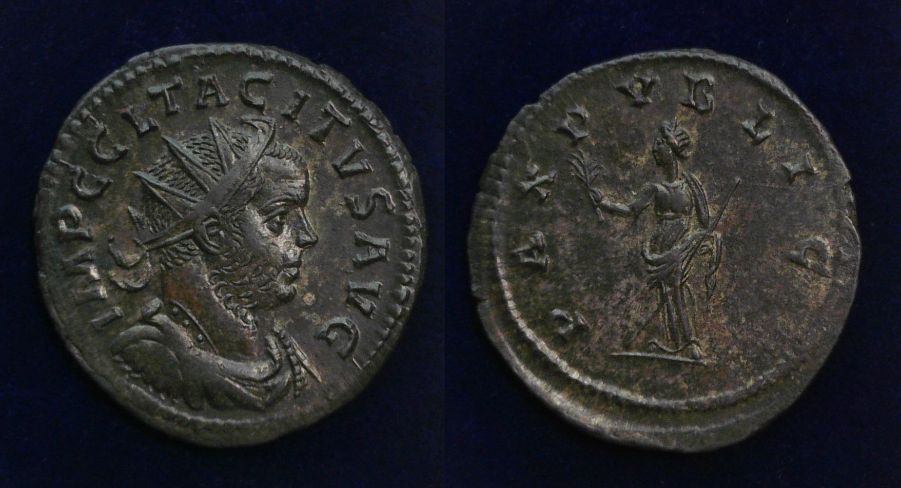 Tacitus Pax Antoninianus.jpg