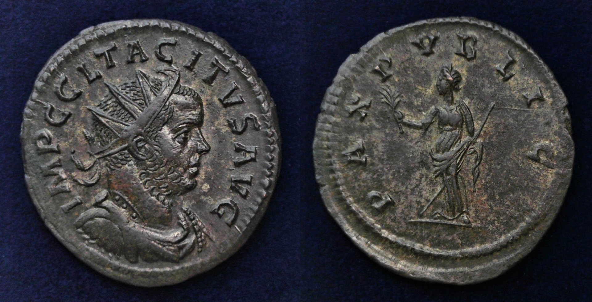 Tacitus Pax Publica.jpg