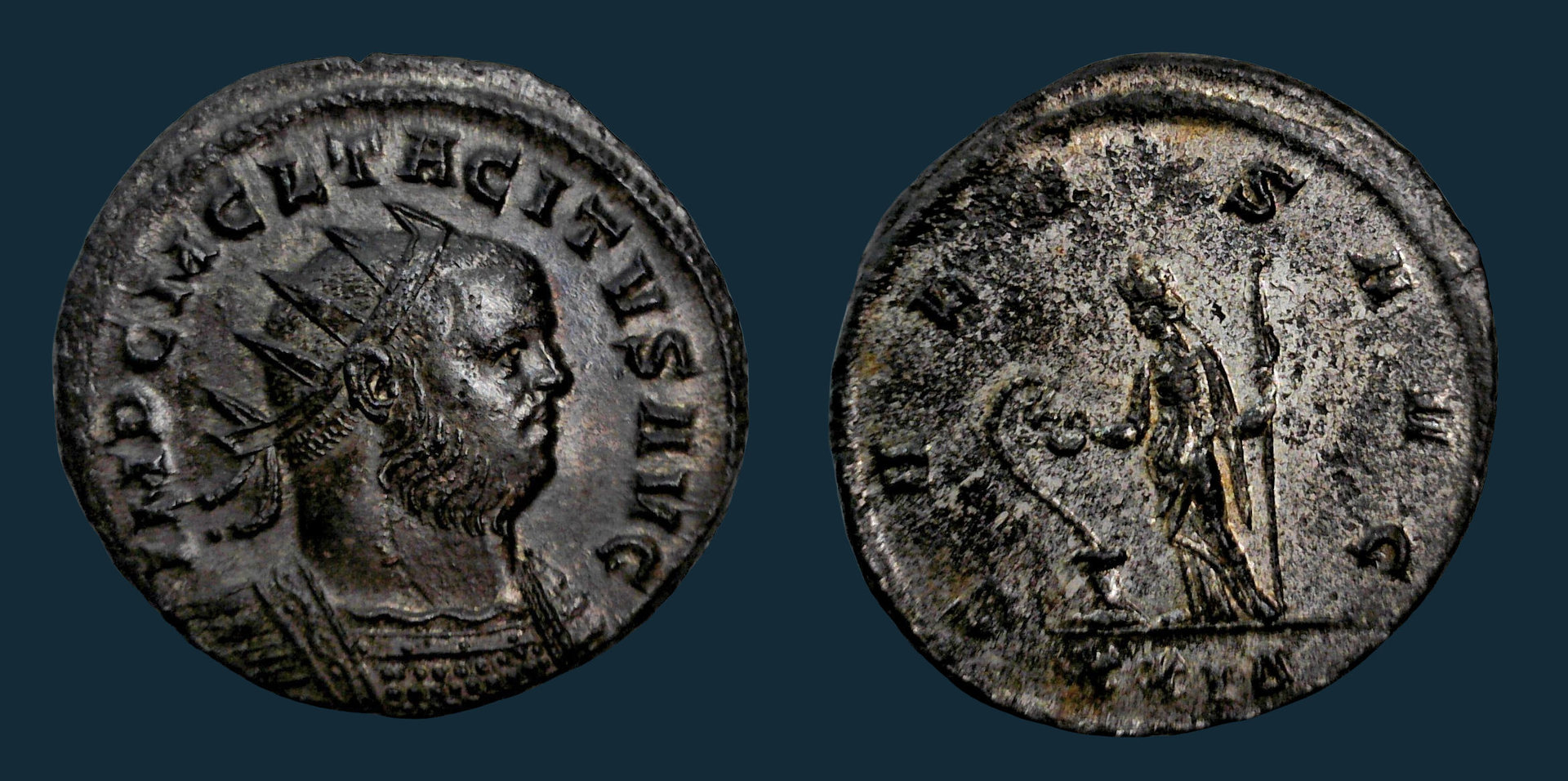 Tacitus Salus Blu.jpg