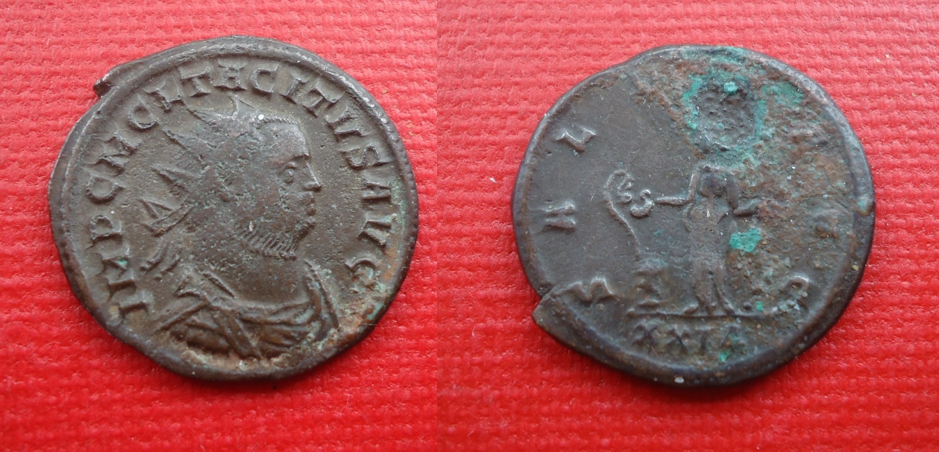 Tacitus - SALVS Ant Nov 2018 (0).jpg