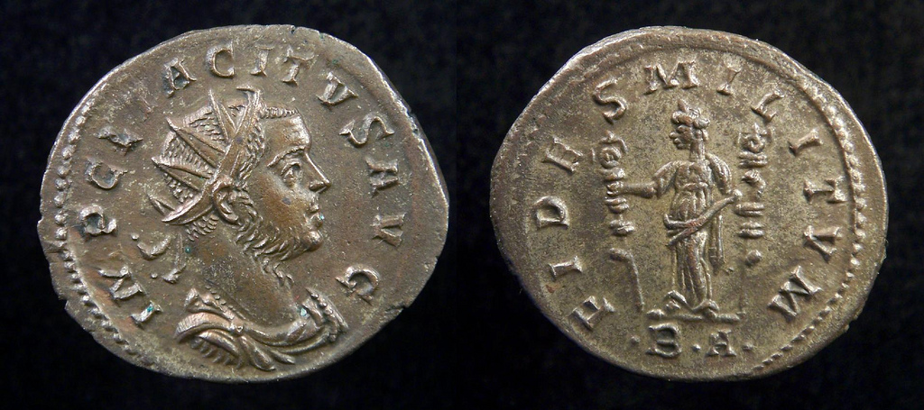 TacitusFIDESMILITVM6046.jpg
