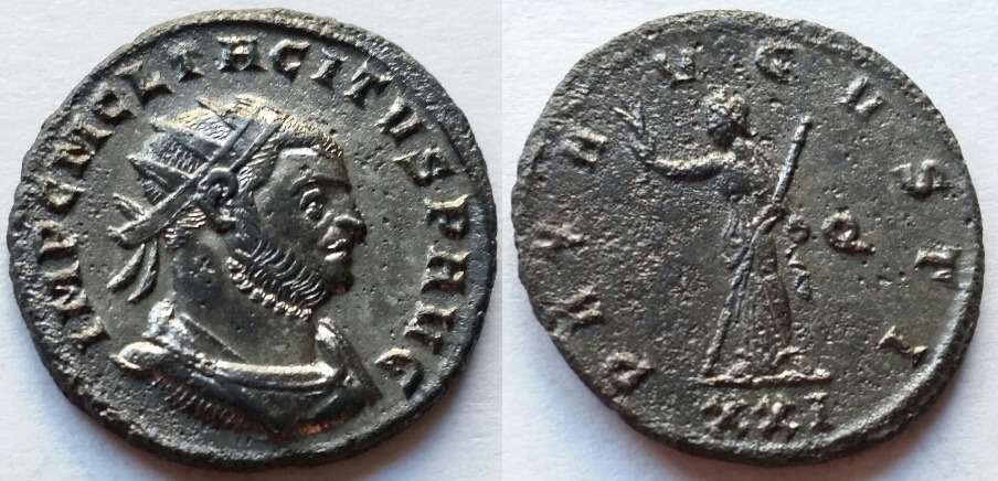 Tactitus pax avgvsti.jpg