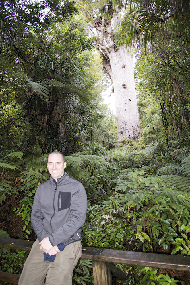 Tane Mahuta 2.jpg