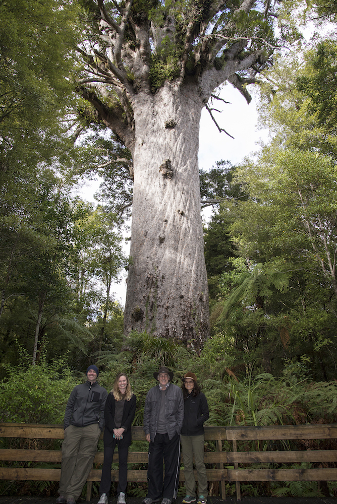 Tane Mahuta.jpg
