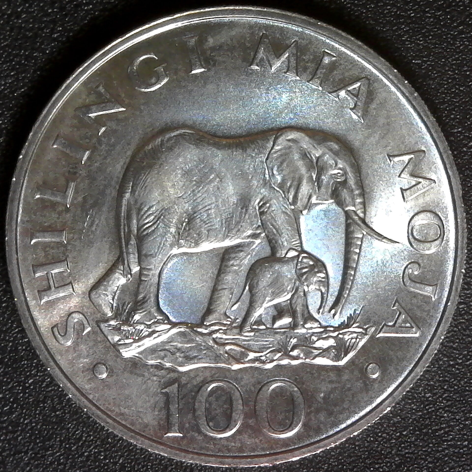 Tanzania 100 Shillings 1986 rev B.jpg
