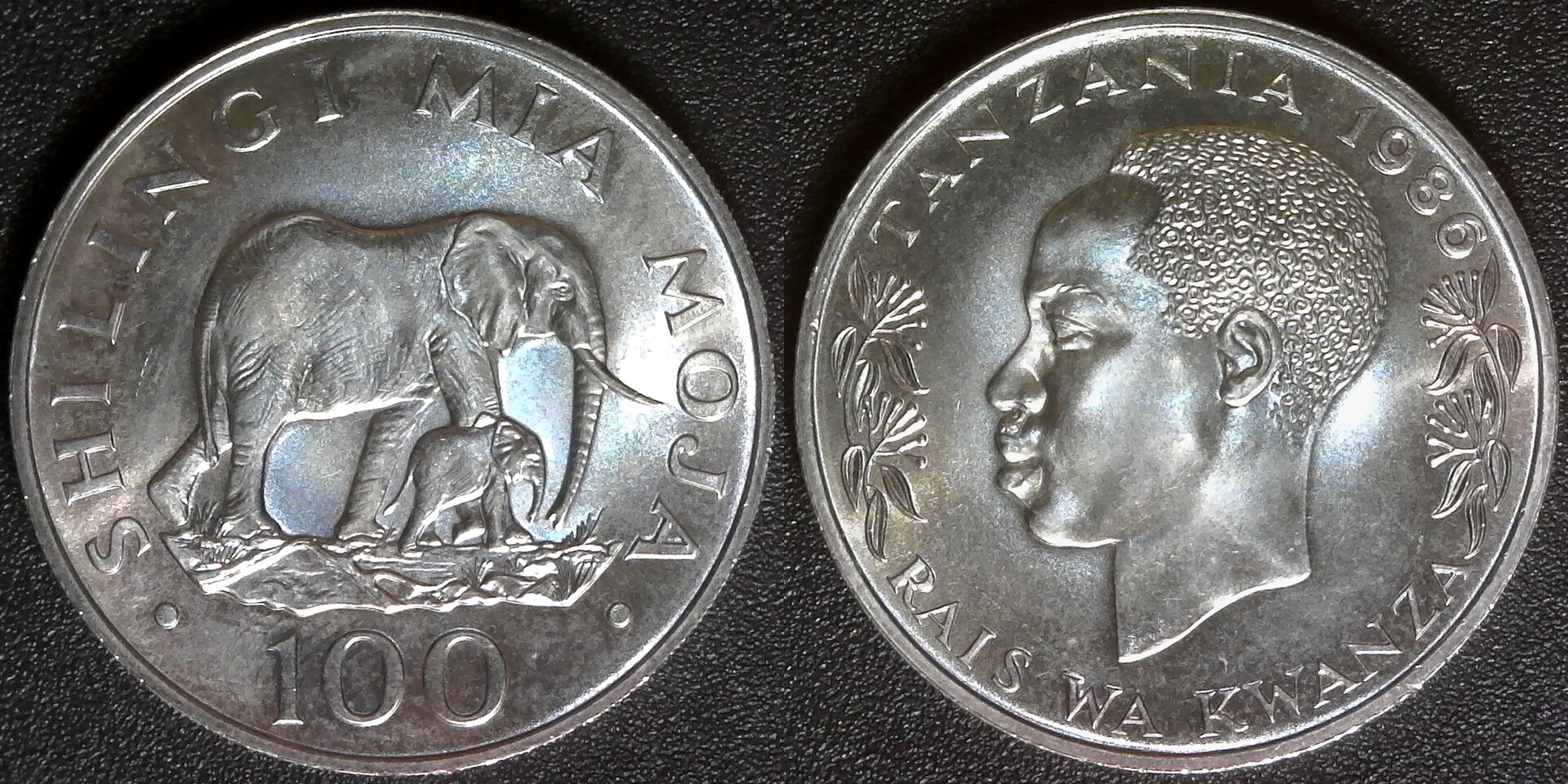 Tanzania 100 Shillings 1986 rev B-side.jpg