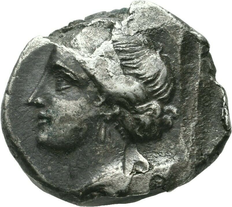 taras1.jpg
