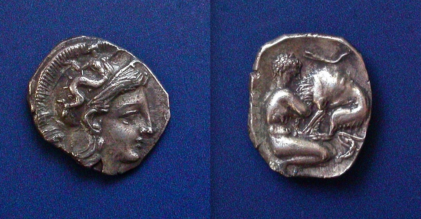 taras15.jpeg