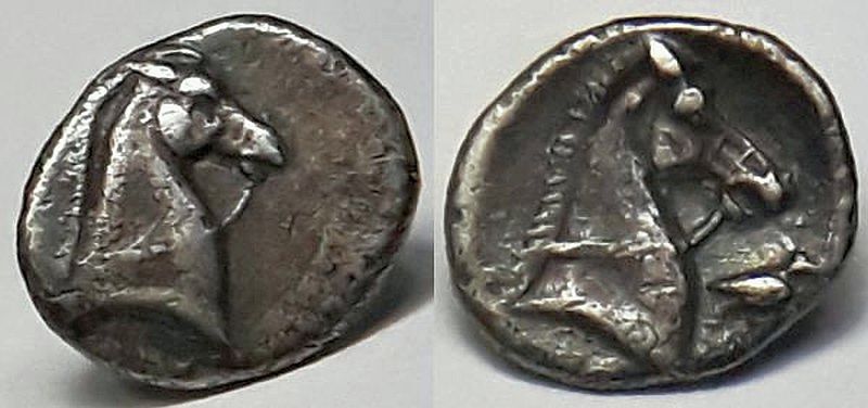 taras2.jpg