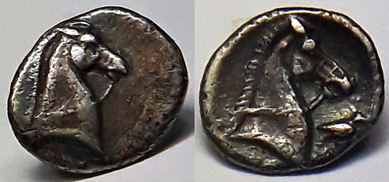 taras2a.jpg