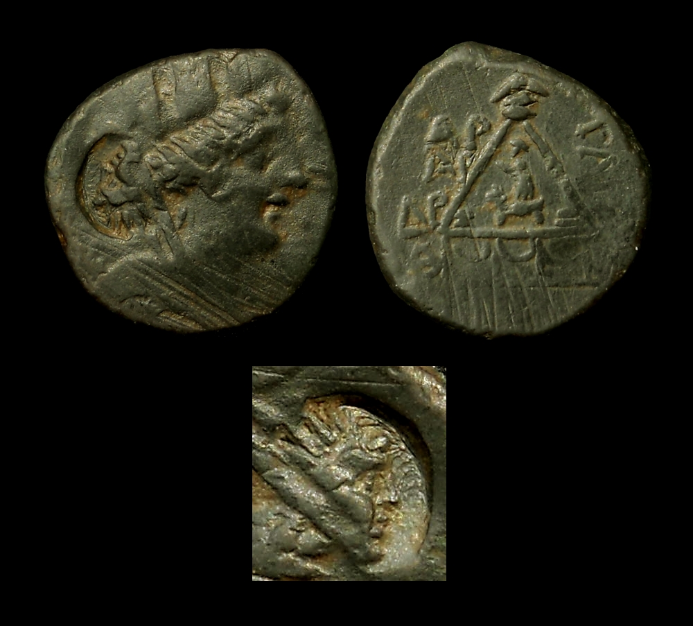 tarsos k.jpg