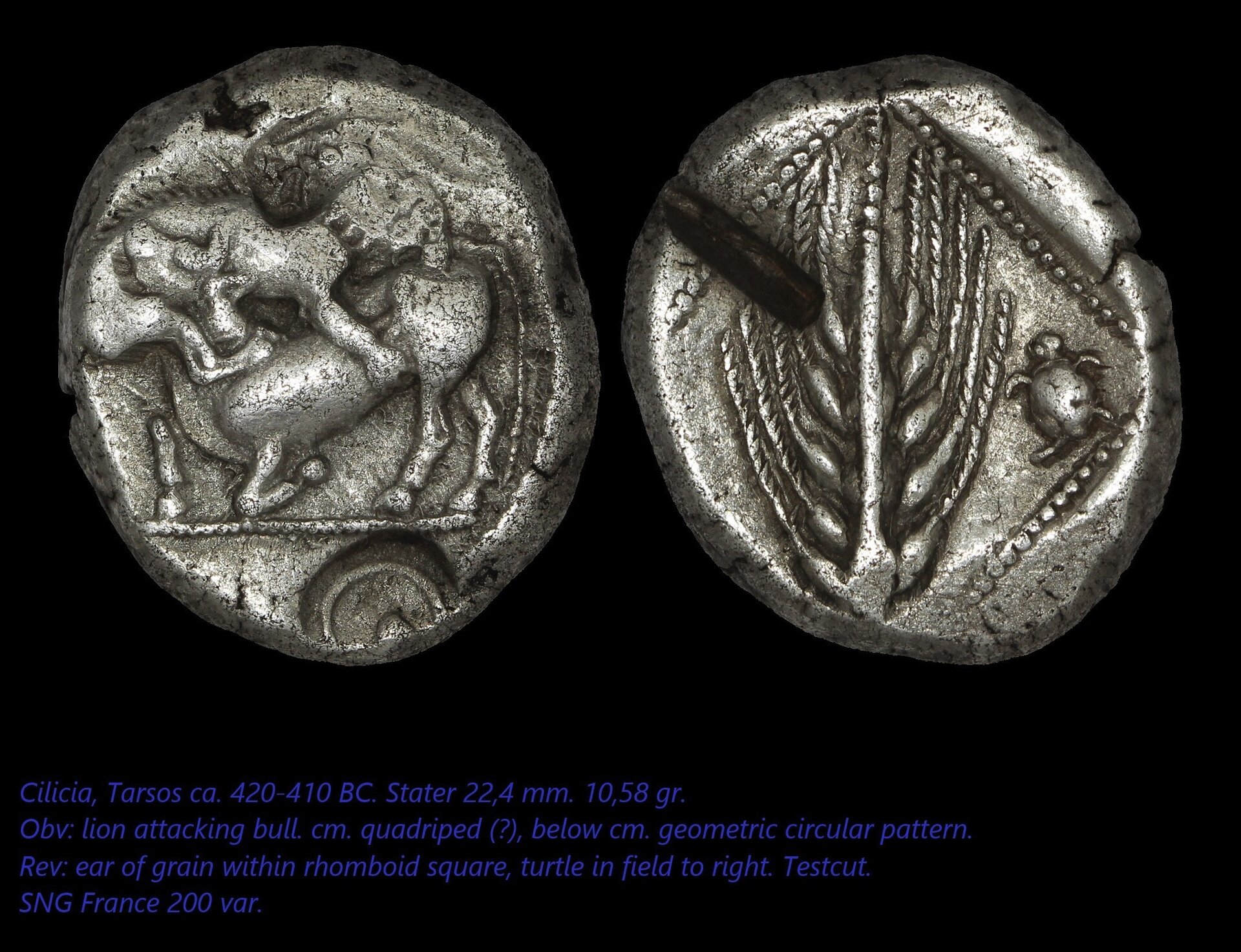 tarsos, stater 420 BC, lion-bull, ear of grain, turtle.jpg