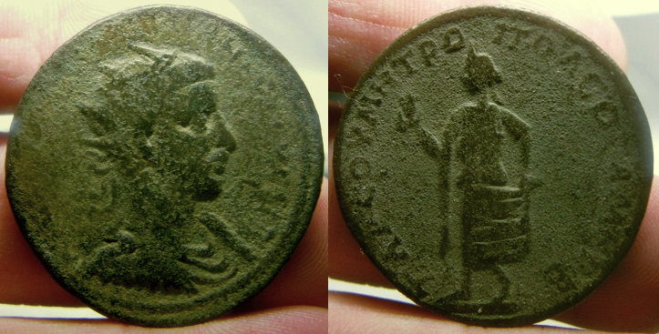 Tarsos1 (2).jpg