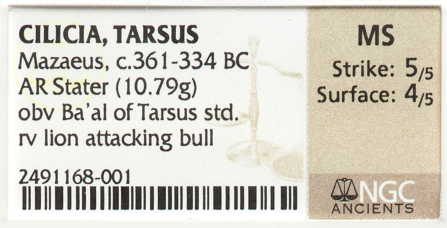 Tarsus Stater insert.jpg