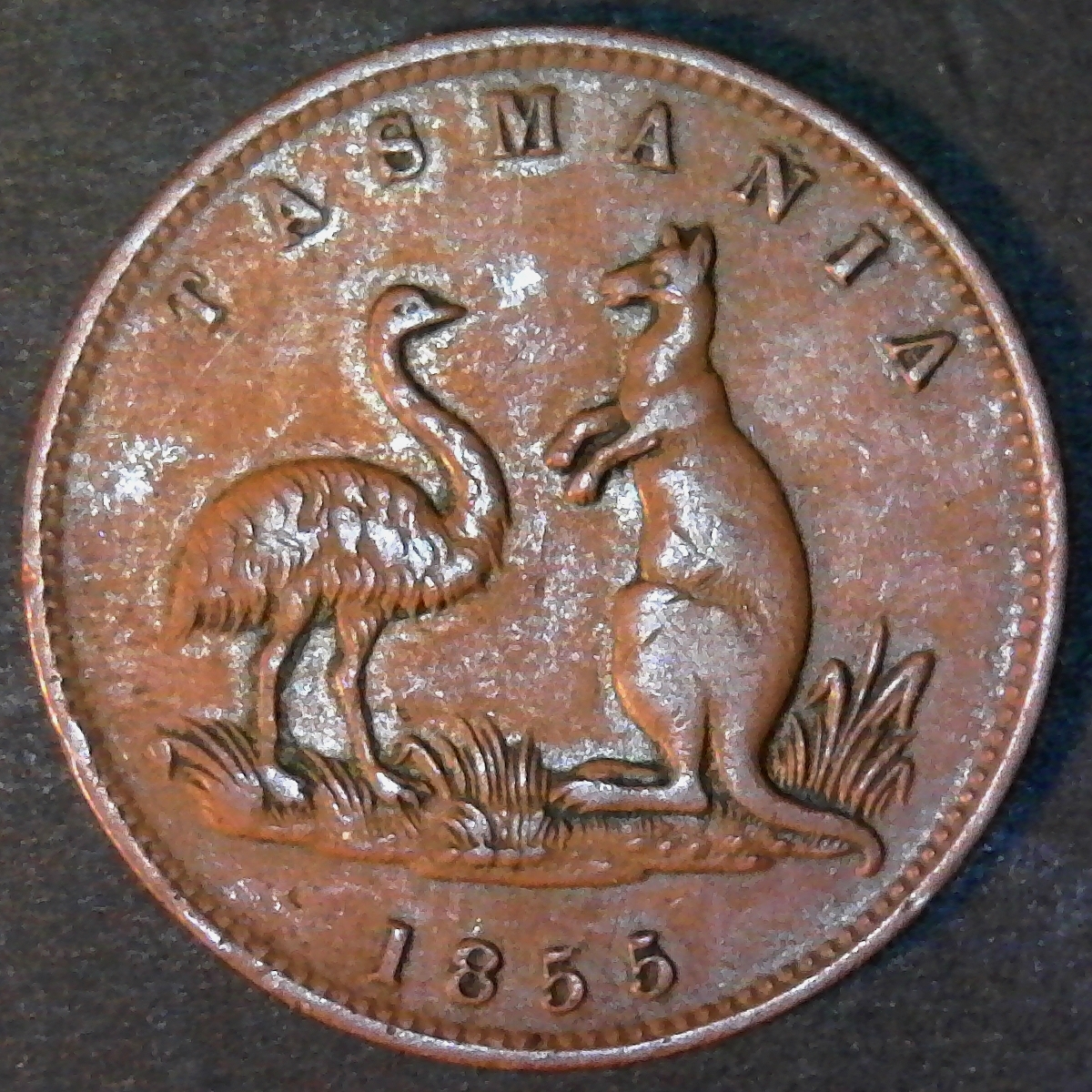 Tasmania 1855 obverse less 5.jpg